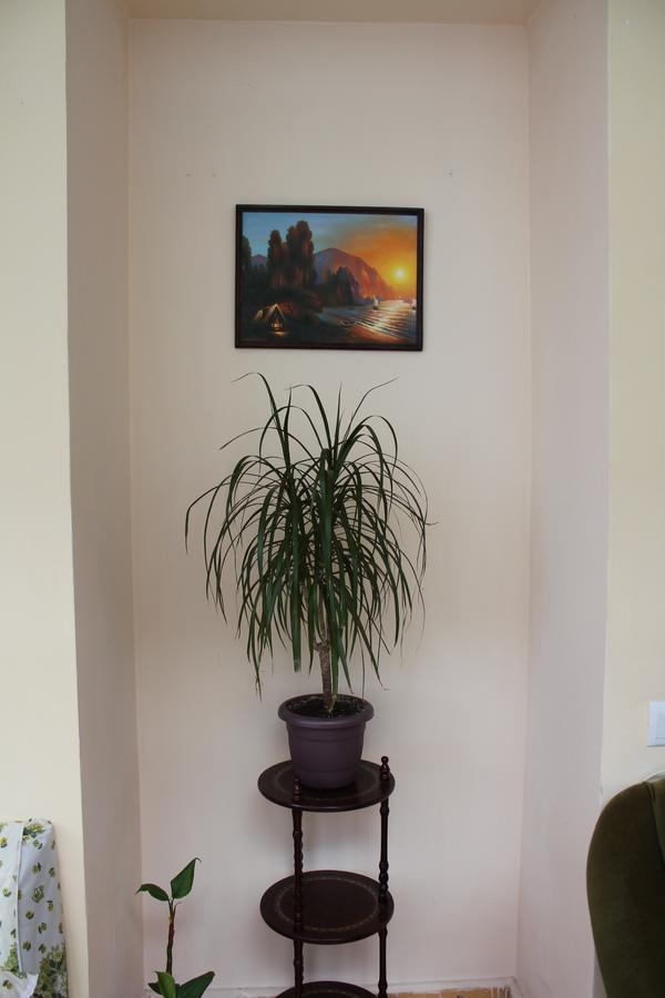 Hostel Nino Tbilisi ภายนอก รูปภาพ